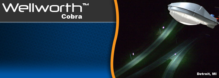 Wellworth Cobra Head Fixture