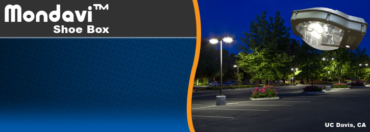 Mondavi Shoe Box Fixture